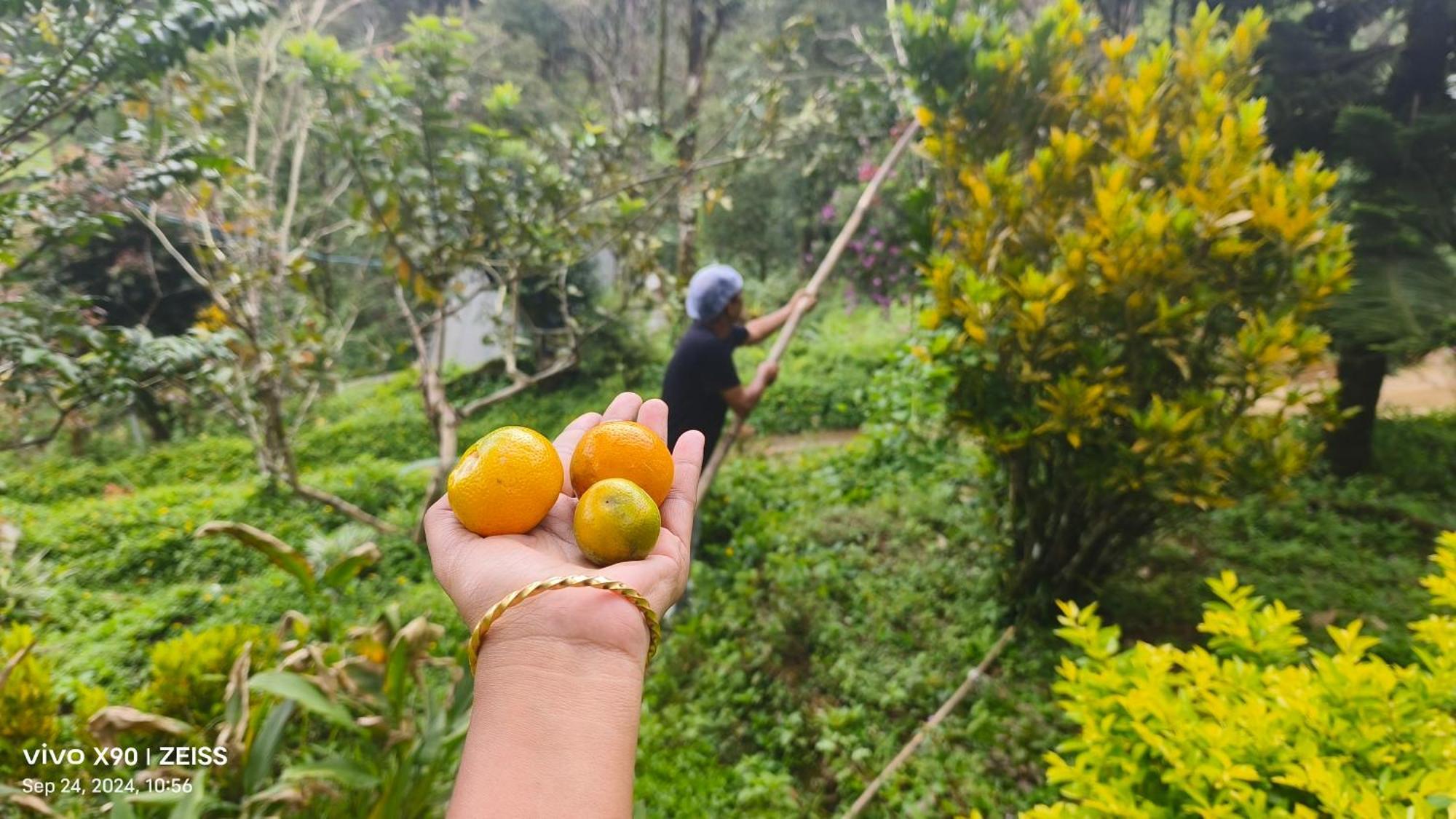 Forestscape Resort Munnar Dış mekan fotoğraf