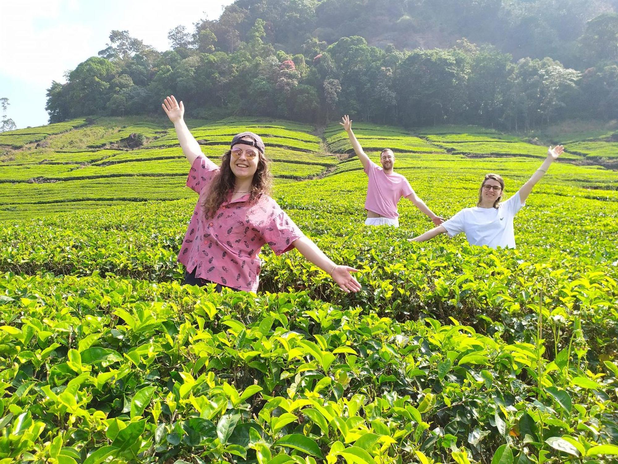 Forestscape Resort Munnar Dış mekan fotoğraf