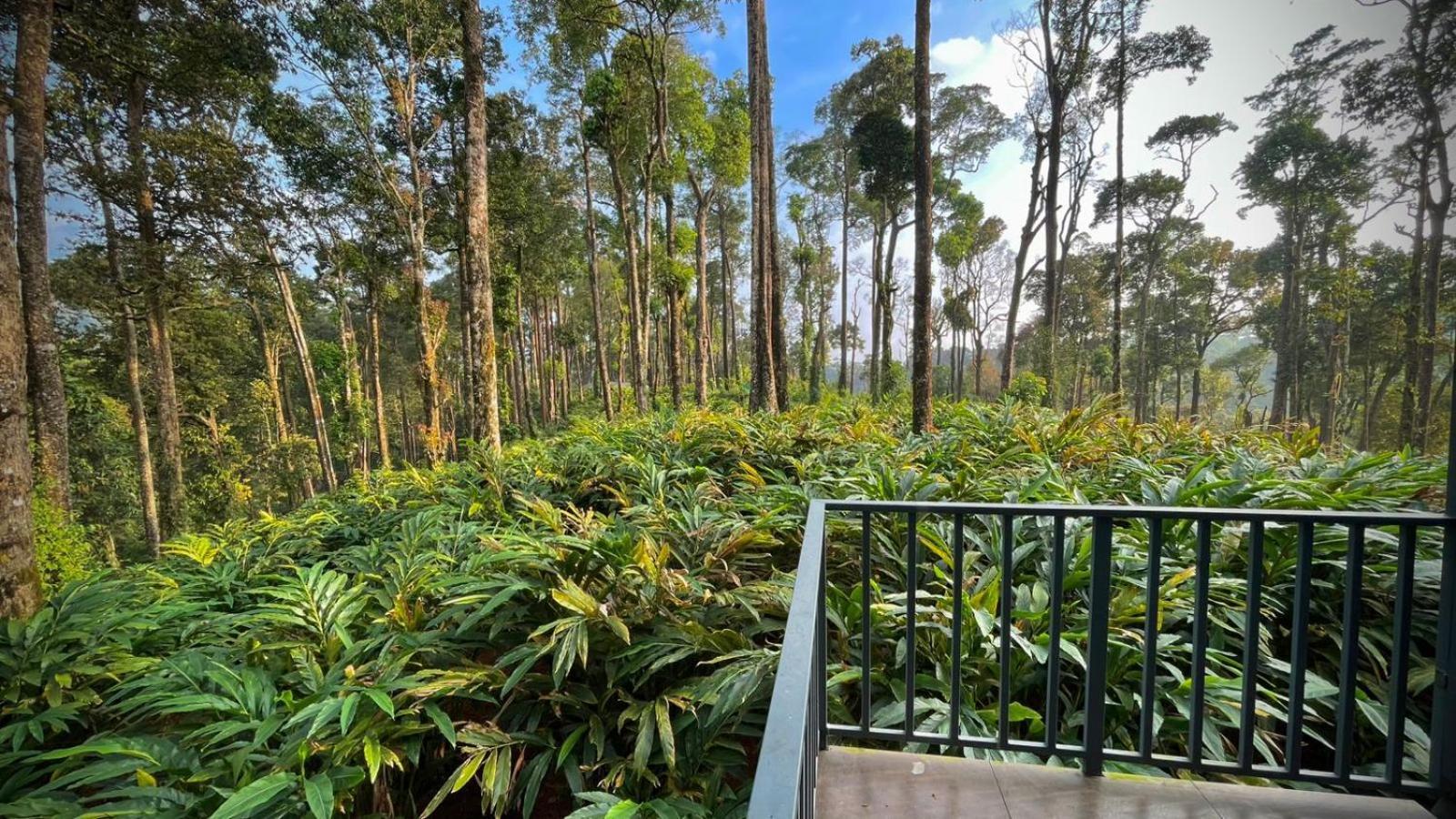 Forestscape Resort Munnar Dış mekan fotoğraf