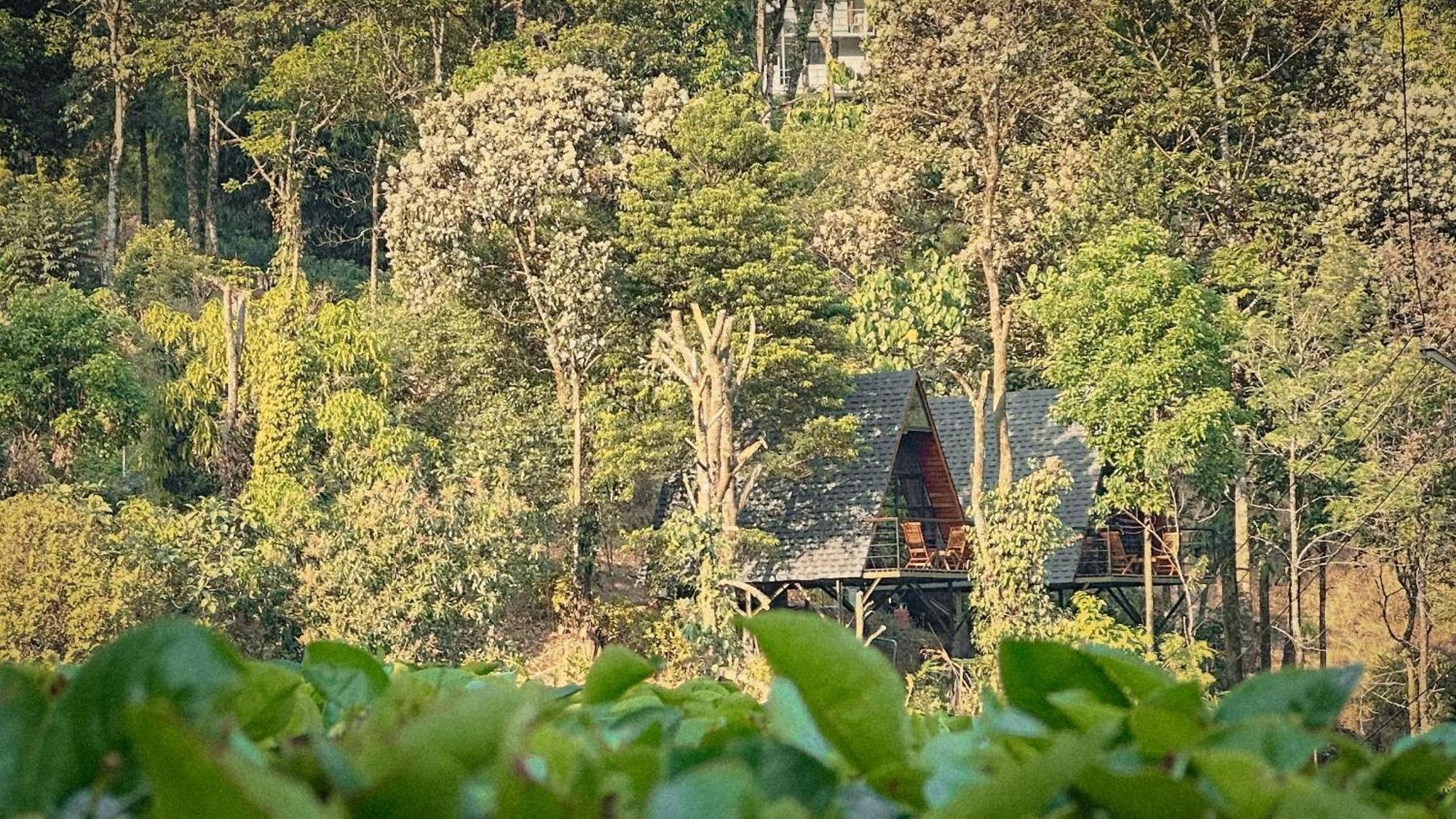 Forestscape Resort Munnar Dış mekan fotoğraf