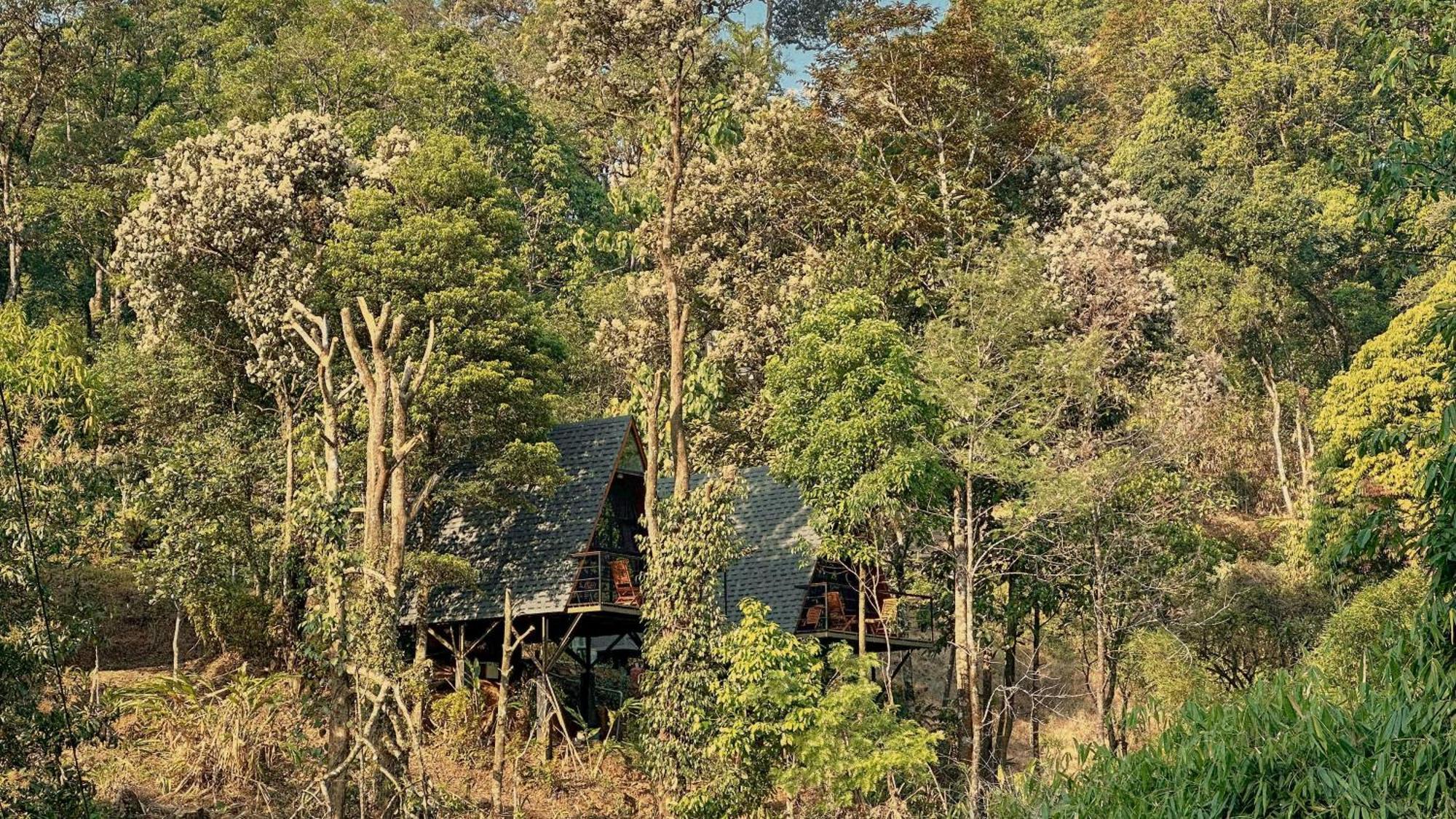 Forestscape Resort Munnar Dış mekan fotoğraf